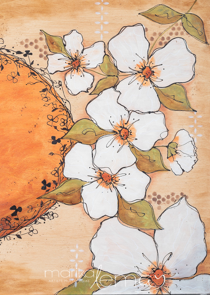 Belles-des-bois-disponible